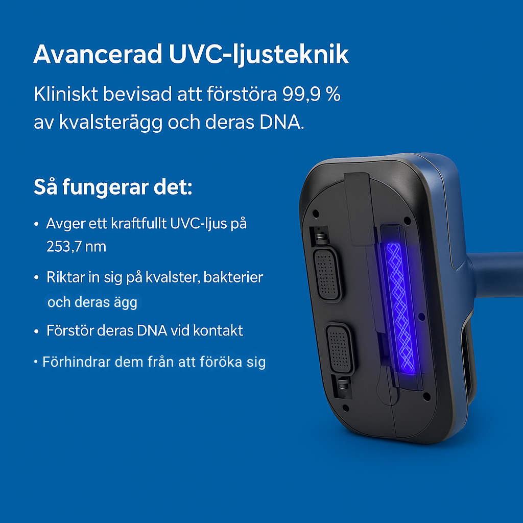 Dustor - Rensa bort det dolda